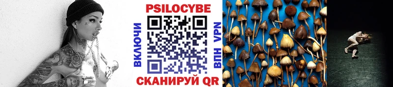 Галлюциногенные грибы Psilocybe  MEGA ссылки  Кирово-Чепецк 